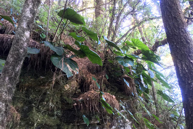 Pictured in Oaxaca, Mexico Image Copyright © 2020 by Fred Muller