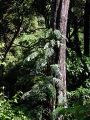 2026年6月1日 (一) 16:54版本的缩略图