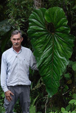 Pictured in Risaralda, Colombia Image Copyright © 2020 by Frederic Muller