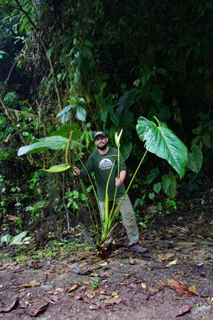 Pictured in Pacto - Pichincha Province Image Copyright © 2024 by María Eugenia Sulen