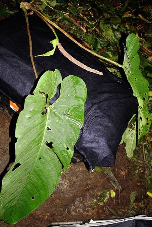 Pictured in Panama Image Copyright © 2011 by Lars Nauheimer