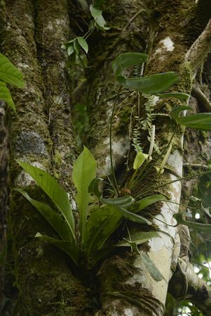 Pictured in Panama Image Copyright © 2020 by Fred Muller