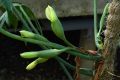 2026年5月29日 (五) 13:53版本的缩略图
