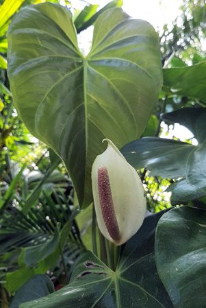 Image Copyright © 2020 by Arnaud Maurieres