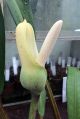 2026年6月1日 (一) 04:41版本的缩略图