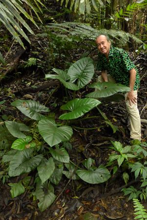 Pictured in Bukit Fraser, Peninsular Malaysia Image Copyright © 2016 by Patrick Blanc