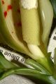 2026年6月1日 (一) 13:08版本的缩略图