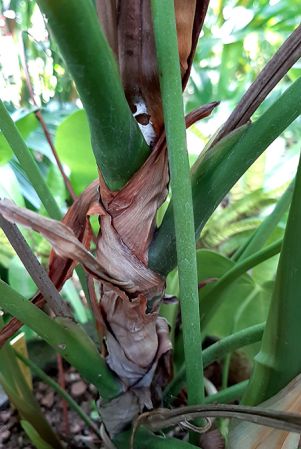 Image Copyright © 2020 by Arnaud Maurieres